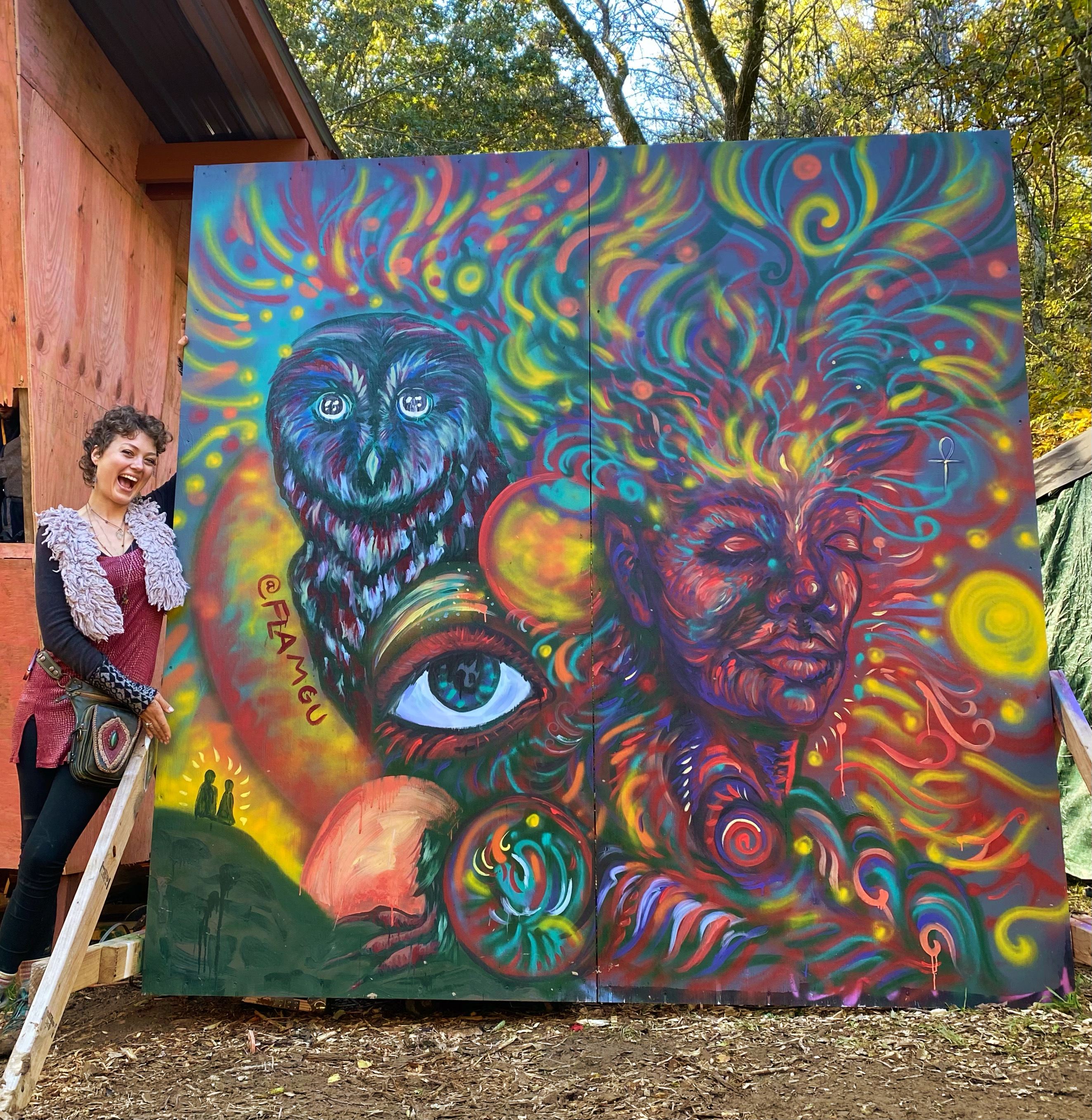 flamgu psychedlic mural visionary art owl
